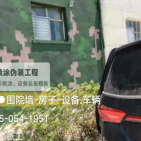张掖数码迷彩漆施工